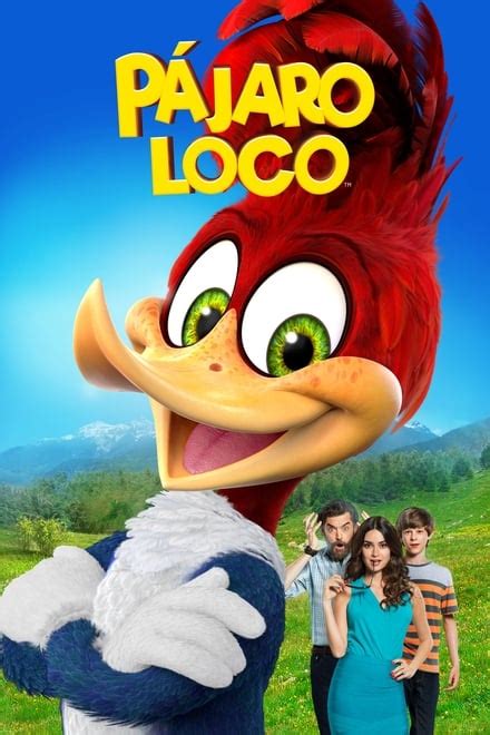 paharo loco|el pájaro loco full movie.